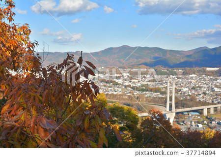 Chichibu Muse Park 37714894