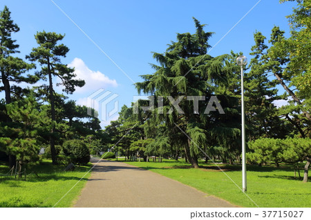 Osaka Hamaji Park 37715027