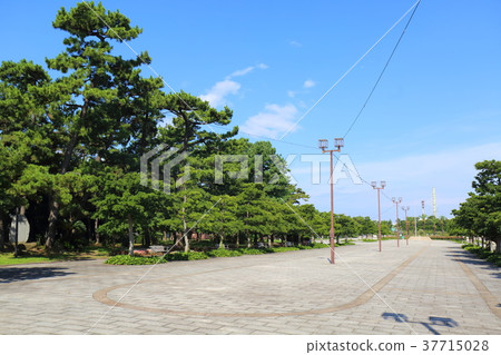 Osaka Hamaji Park Osaka Hamaji Park 37715028