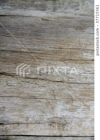 木紋 wood grain 木目 樹幹 Tree Trunk 木頭 wood 木材 bark 細節 37715561