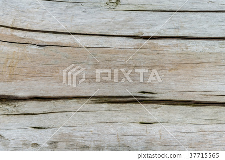 Wood grain wood grain wood trunk tree Trunk wood wood wood bark detail 37715565