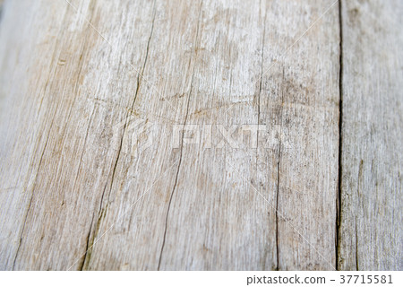 Wood grain wood grain wood trunk tree Trunk wood wood wood bark detail 37715581