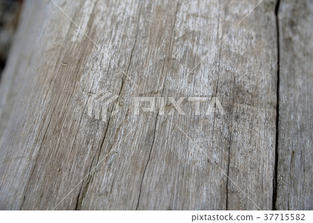 木紋 wood grain 木目 樹幹 Tree Trunk 木頭 wood 木材 bark 細節 37715582