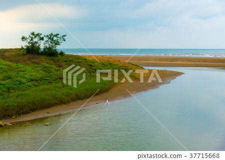 沙丘海邊景觀海邊的生活方式生活方式推動雲A台灣 37715668