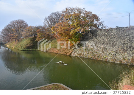 山形城01 37715822