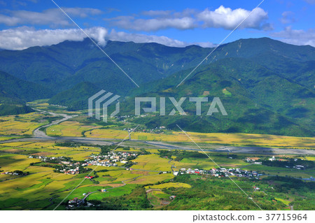 East Rift Valley, Mountain, Rice Field, Farming, Field, Rice, Farmland, Agriculture, Crops, Agricultural Products East Rift Valley, Mountain, Rice Field, Farming, Field, Rice, Farmland, Agriculture, Crops, Agricultural Products 37715964