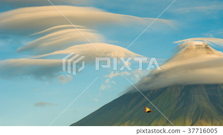 Mayon Volcano is an active stratovolcano in the 37716005