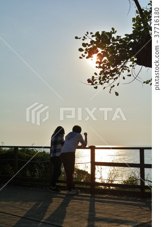 Enoshima 37716180