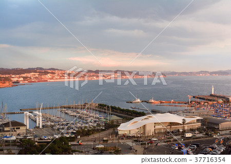 Enoshima Enoshima 37716354