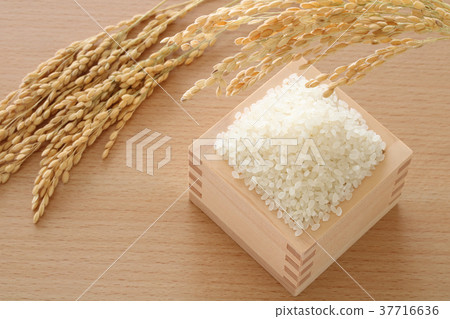 Rice in early rice Rice in early rice 37716636