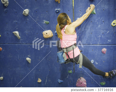 sport woman hanging extreme sport climbing wall in indoor gym sport woman hanging extreme sport climbing wall in indoor gym 37716916