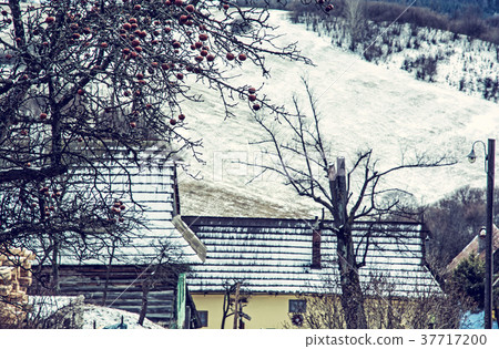 Apple tree and wooden houses in Vlkolinec village Apple tree and wooden houses in Vlkolinec village 37717200
