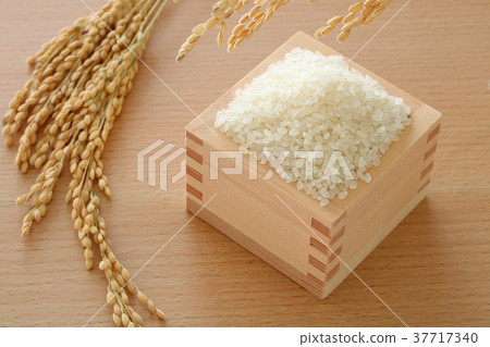 Rice in early rice 37717340