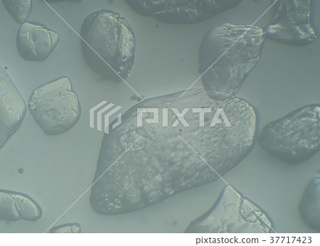 Close-up of crystalline sugar dissolves in water Close-up of crystalline sugar dissolves in water 37717423