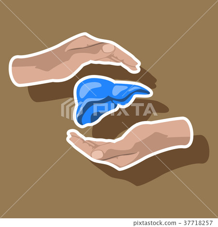paper sticker on theme world hepatitis day . liver paper sticker on theme world hepatitis day . liver 37718257