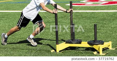 Track runner pushing a weighted sled Track runner pushing a weighted sled 37719762