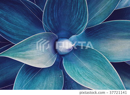 Floral ultra violet abstract floral pattern Floral ultra violet abstract floral pattern 37721141