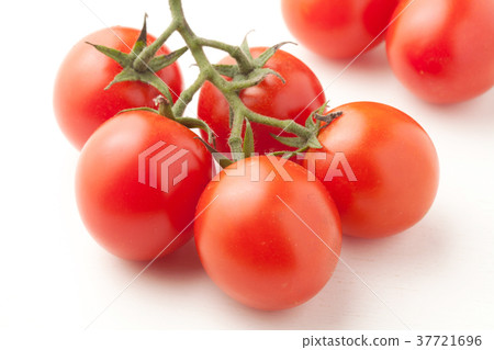 Tufted tomatoes Tufted tomatoes 37721696