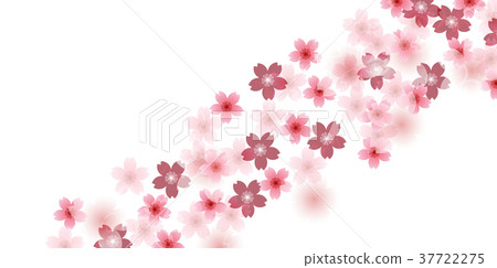 櫻花春天花背景 37722275
