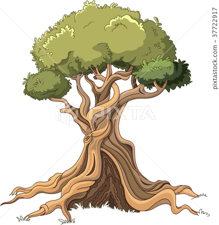 Majestic Tree Majestic Tree 37722917