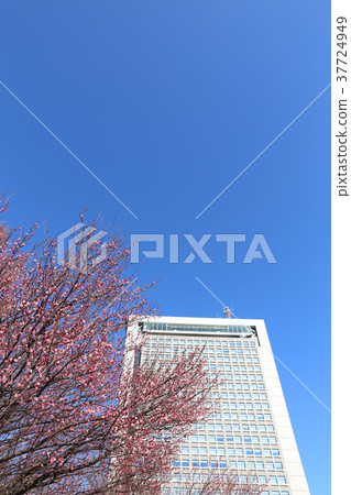 Ibaraki Prefectural Government Building Mito City, Ibaraki Prefecture Ibaraki Prefectural Government Building Mito City, Ibaraki Prefecture 37724949