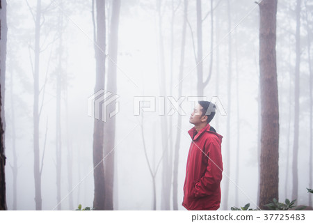 man travel in the pine forest winter 37725483