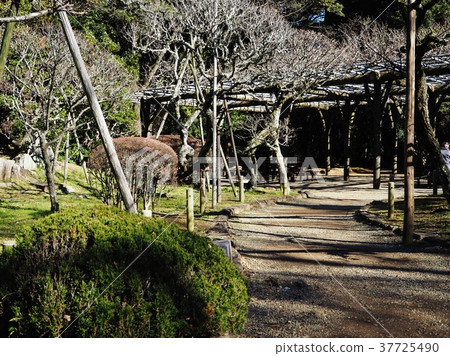 在公園散步 在公園散步 37725490