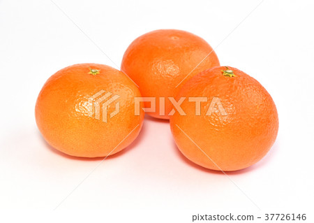 Amakusa (Amakusa) 37726146