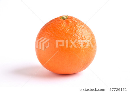 天草（天草） 37726151