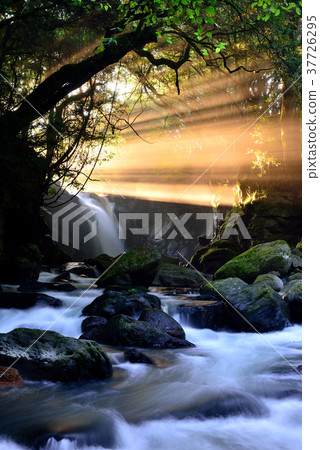 情侶的瀑布 37726295