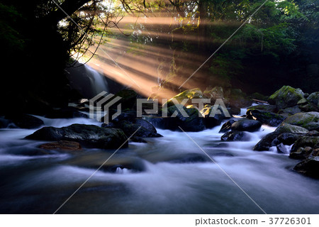 情侶的瀑布 37726301