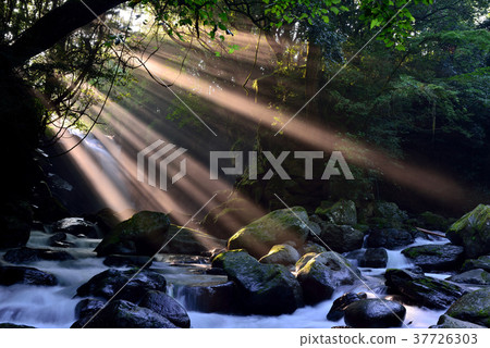 情侶的瀑布 37726303