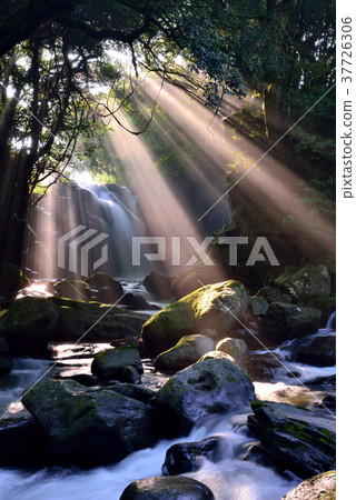 情侶的瀑布 37726306