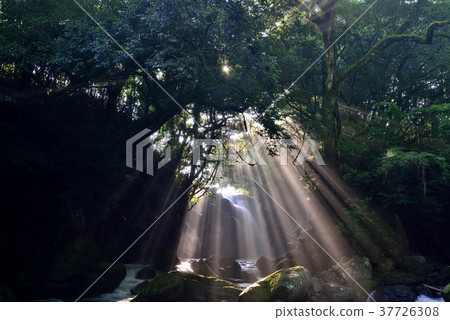 情侶的瀑布 37726308