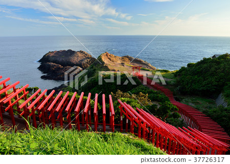 前Nogami Inage神社 37726317