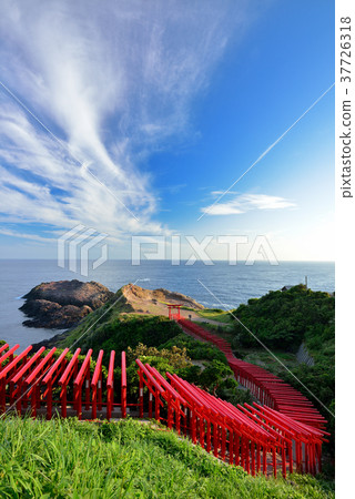 前Nogami Inage神社 37726318