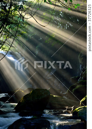 情侶的瀑布 37726325