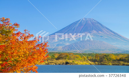 Autumn leaves and Mt. Fuji 16: 9 Autumn leaves and Mt. Fuji 16: 9 37726348