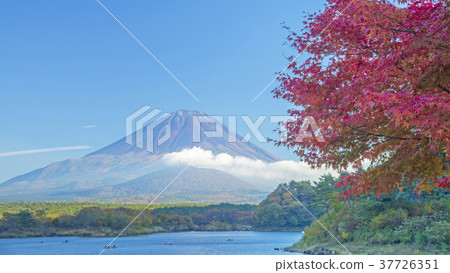 Autumn leaves and Mt. Fuji 16: 9 Autumn leaves and Mt. Fuji 16: 9 37726351