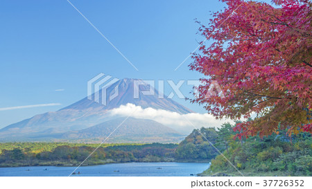 Autumn leaves and Mt. Fuji 16: 9 Autumn leaves and Mt. Fuji 16: 9 37726352