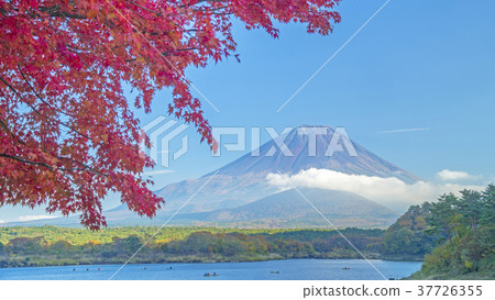 Autumn leaves and Mt. Fuji 16: 9 37726355