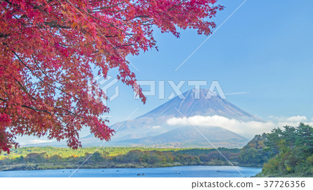 Autumn leaves and Mt. Fuji 16: 9 37726356