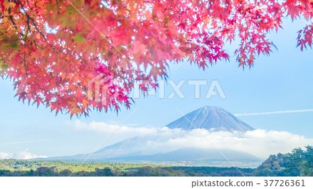 Autumn leaves and Mt. Fuji 16: 9 37726361