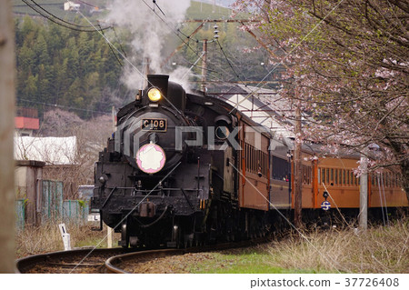 Oigawa Railway steam locomotive 37726408