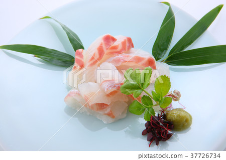 Raw salmon sashimi 37726734