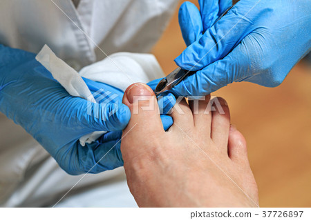 Chiropody Chiropody 37726897