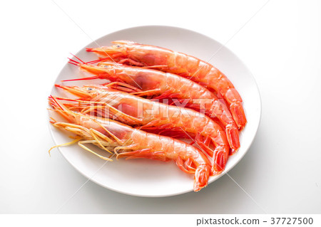 Argentina red shrimp Argentina red shrimp 37727500