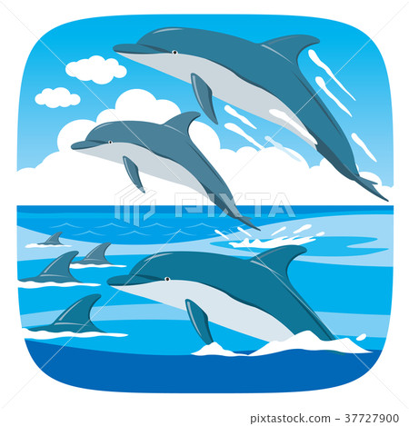 Group of dolphins jumping on the water Stock Photo