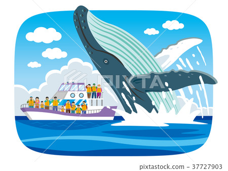 Whale watching Whale watching 37727903