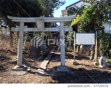 就像它（Shiroi City） 37728316